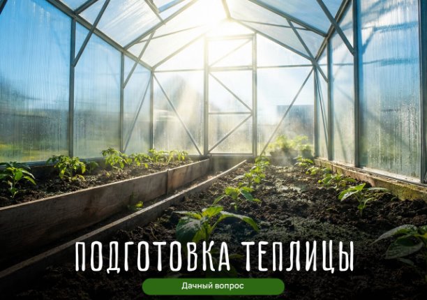 Подготовка теплицы к сезону — 5 шагов за 1 день | Интересный контент в группе Дачный вопрос | Дом, дача, огород в ОК (Одноклассники) Подготовка теплицы к сезону — 5 шагов за 1 день | Интересный контент в группе Дачный вопрос | Дом, дача, огород в ОК (Одноклассники)