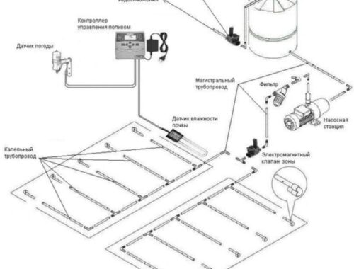 Капельный полив своими руками- подробная инструкция установки