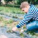 Как сделать дренаж участка своими руками с уклоном